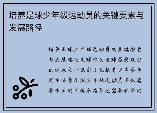 培养足球少年级运动员的关键要素与发展路径